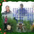 [2008년 1월 1일 화요일 출근부]무자년 한해도 이런 삶을 살게 하여주소서 이미지