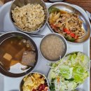 솔담한방병원 | 제주 솔담한방병원 면역치료 후기