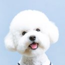좋은날사진관
