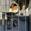 송원길 | 대구경북캠핑장 청도오토캠핑장 청도 그린나래 캠핑장 청도 애견동반캠핑장 윗마을 1사이트 이용후기