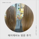거창크리닉 | 노답 극손상모 환골탈퇴한 썰푼다. 야탑미용실 헤어에비뉴 신데렐라 크리닉 후기 (분당미용실 추천)