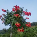 한강수야 고집통님 농장 급습&amp;...퀴즈 정답에 행운이 가득 이미지