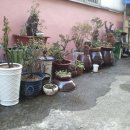 석부농장 이미지