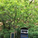 이음공동체협동조합 이미지