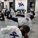 CHA태권도 이미지