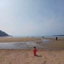 오감발달통합놀이 6-12개월 B | 을왕리 갯벌체험 완벽 가이드｜시간·준비물·바다생물 찾는 법 (두돌아기 실제 후기)