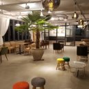 카페고니 이미지