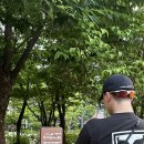 근린문문 네이버블로그