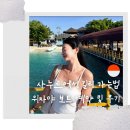선트래픽 | 발리 사누르에서 길리 가는 위자야 보트 예약 방법 및 탑승 후기
