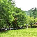 와동초교 이미지