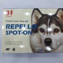 울산현대약국 이미지