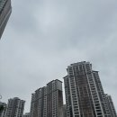 26170-수p30 | 일산동구 식사동 식사 자이 인테리어 현장 퍼플렉스 p30 줄눈 시공 후기