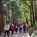 양묘장약수터 이미지