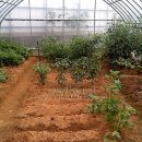 인영농장 이미지