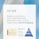 시트 | 바바디토 건조기시트 사용후기 / 건조기시트 추천 / 건조기섬유유연제