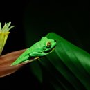 ECO CAR SERVICE 이미지