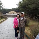 [ 170405-07 ] 경주 보문호의 벚꽃맞이 이미지