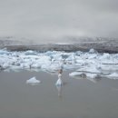 [남부]일본어회화 이미지