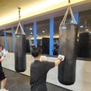 슈가복싱 이미지