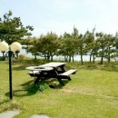 해변의 꿈 이미지