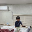 송기헌소아과 네이버블로그