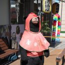 참이맛감자탕(아산용화점) 이미지