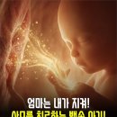 임신 중 아기는 모체의 취약한 곳에 줄기세포를 보낸다 이미지