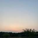 진주상회 이미지