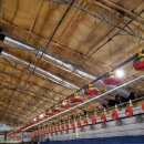 정화축사 이미지