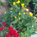 도봉-도봉-서울도봉-2237 이미지