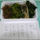 지리산 뱀사골 중앙식당(다있다 마트) 2009. 7 . 5 이미지