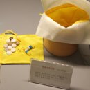 대림애견 이미지