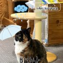 꼬미 - 창원시 마산합포구 | 꼬미