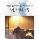 송이한 카카오 검색결과