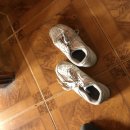 해피투게더민박 이미지