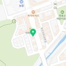 대전고양이분양 비비냥 이미지