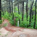 선산체육관 이미지