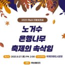 노거수 은행나무 축제의 속삭임 네이버블로그