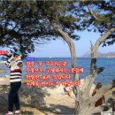 천기권의료기 이미지