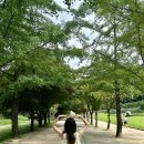 문경새재초은펜션슈퍼 이미지