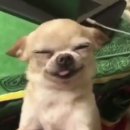 엄마의 반찬