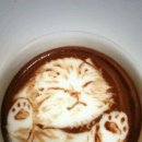 캣푸치노 이미지