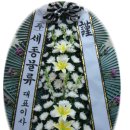 금성장례식장 이미지