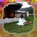 콩익는뜨락 | 소박(疎薄)한 시골에서 삶! 유유히 흐르는 구름과 바람소리, 그리고 물과 새들과 풀벌레 소리, 들녘의...