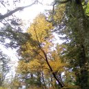 이효석길 이미지