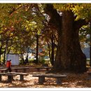 백봉초등학교 이미지