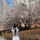 교촌치킨 하양점 | 목련피는 예쁜 계절 3월 5주차 주간일상