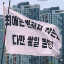 러브썸독 이미지