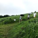 소금밭 교차로 3 이미지