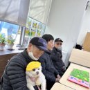 댕댕 쉼터 이미지